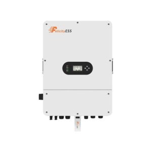Felicity T-REX-10KLP3G01